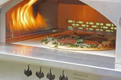 Bighorn Outdoor Edelstaal Gas Pizza Oven - Draagbare Gas Barbecue - Edelstaal -Model SRGG20001 -Bbq Promotiewinkel 1200x799 10